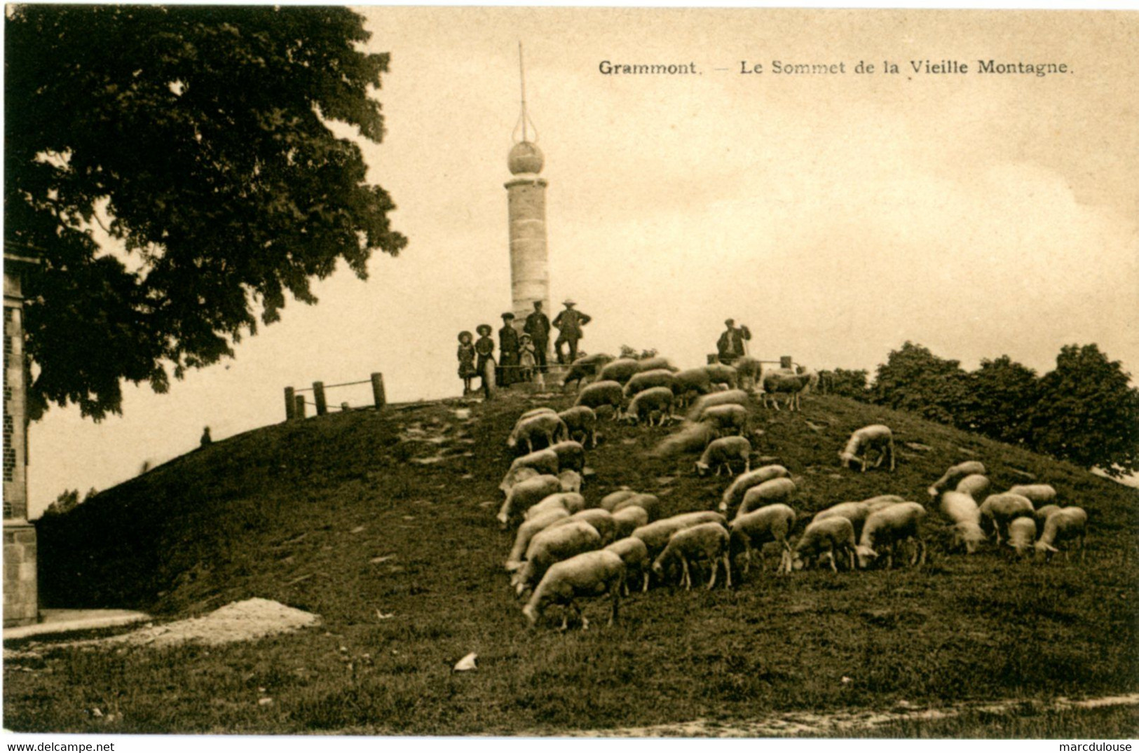 Geraardsbergen. Grammont. De Top Van De Oudenberg. Kolom En Schapen. Le Sommet De La Vieille Montagne. Colonne. Moutons. - Geraardsbergen