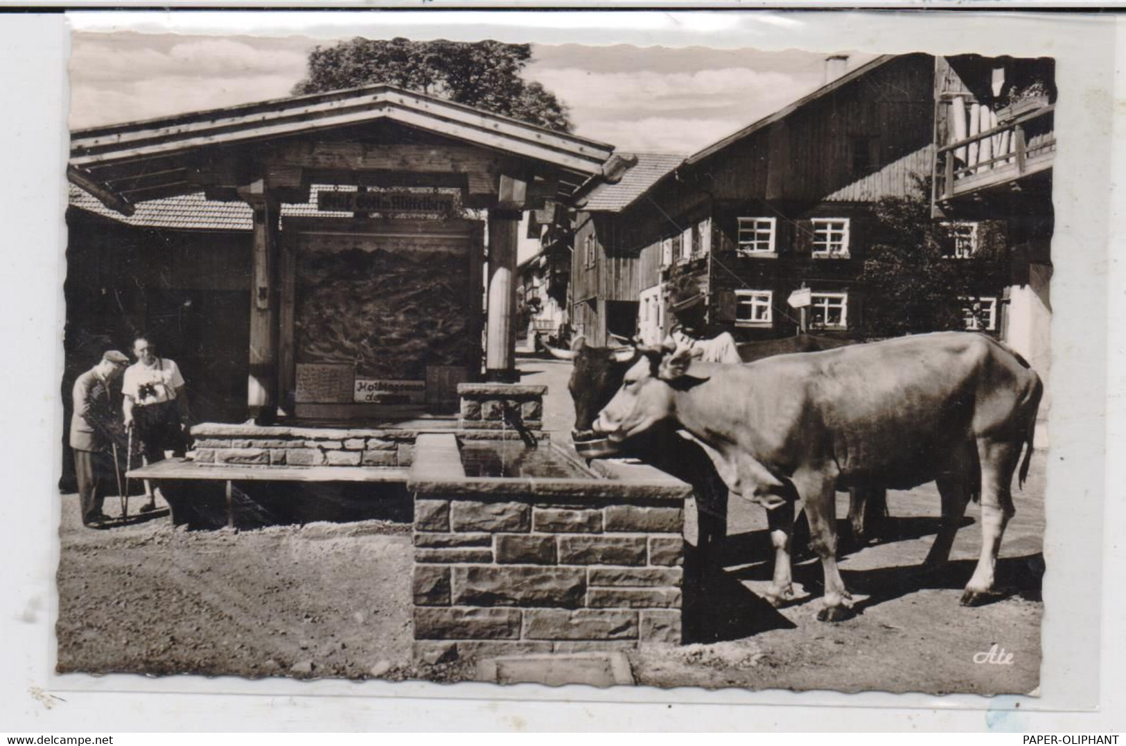 8967 OY - MITTELBERG, Am Dorfbrunnen, Kühe, 196... - Mittelberg