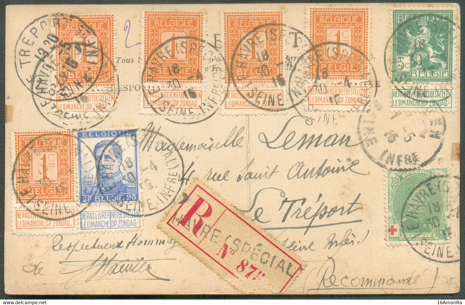 Affr. PELLENS à 40 Centimes  Obl. Sc LE HAVRE (SPECIAL) Sur Carte Maximum (Effigie Du ROI ALBERT) En Recommandé Le 30-4- - Sonstige & Ohne Zuordnung