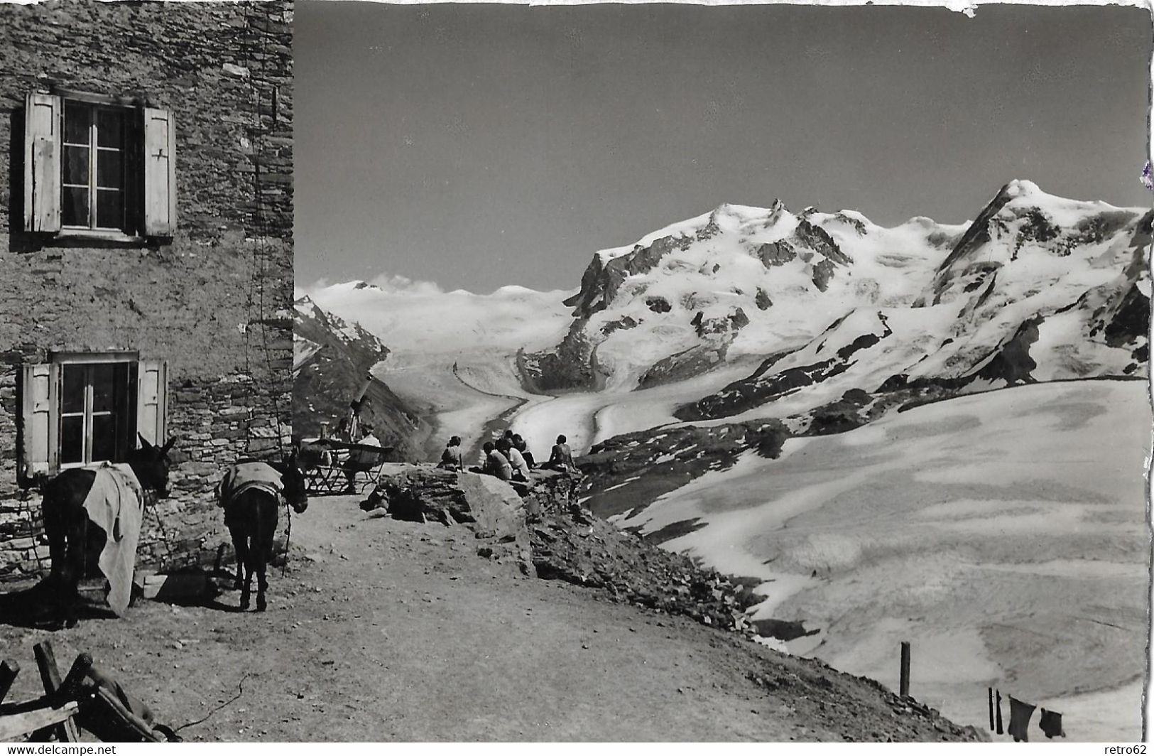 ZERMATT → Hotel Belvédère Am Matterhorn Mit Saumpferden Davor, Fotokarte Ca.1935 - Ferden