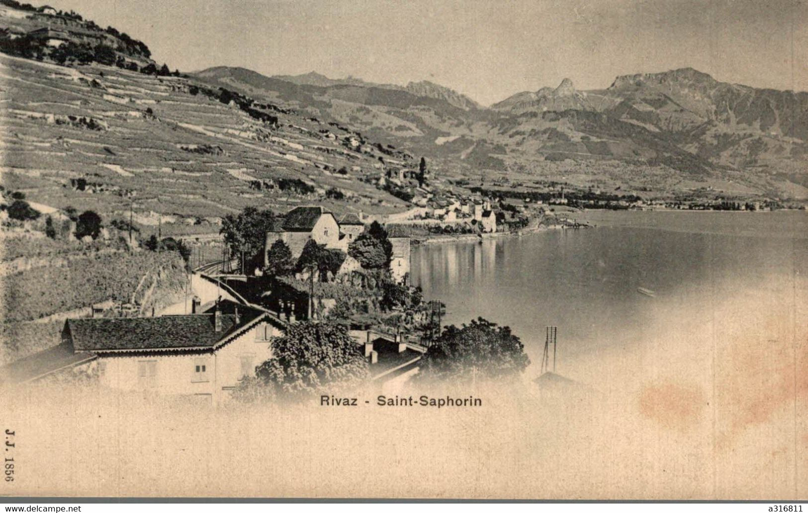 Rivaz Saint Saphorin - Saint-Saphorin