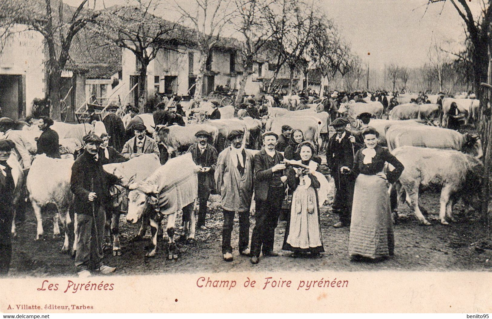 CPA "Dans Les Pyrenées" - Champ De Foire Pyrenéens. - Otros & Sin Clasificación