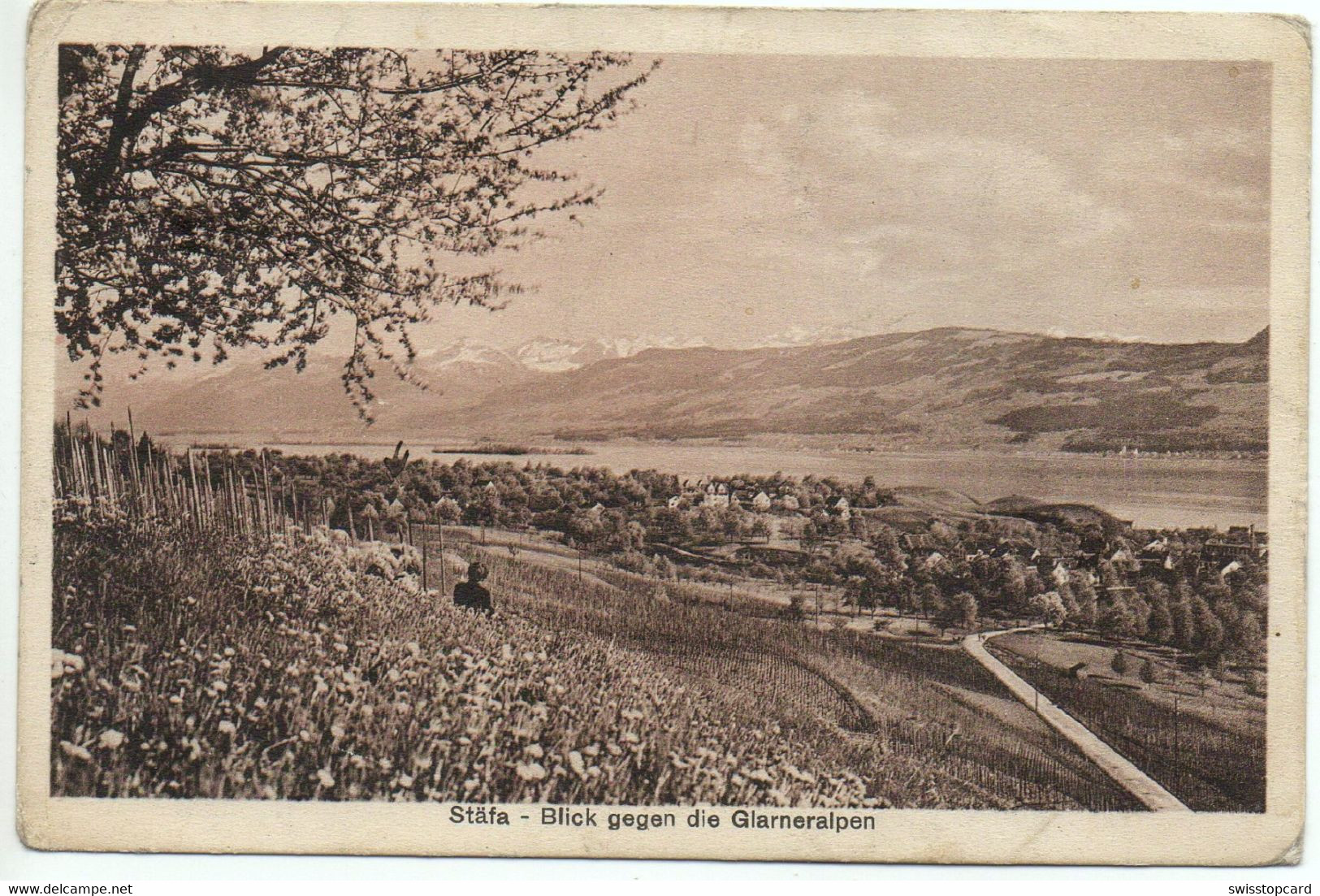 STÄFA Blick Gegen Die Glarneralpen - Stäfa