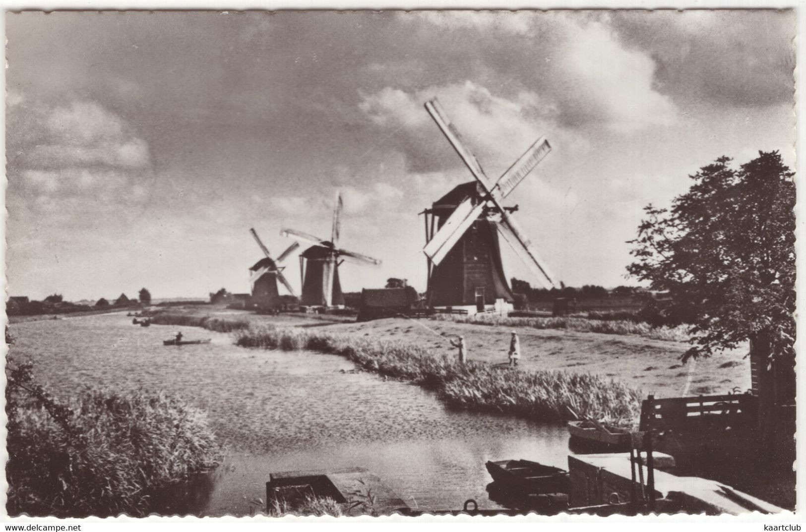 Stompwijk - Drie Watermolens Langs De Voor - (Zuid-Holland, Nederland) - No. 4207 - Moulin/Mill/Mühle/Molen - Leidschendam