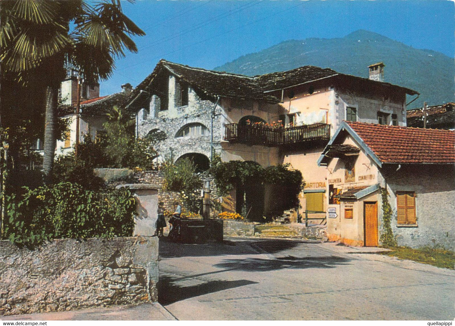 013785 "SVIZZERA - LOSONE - IL TICINO PITTORESCO" VEDUTA, TRATTORIA.  CART NON SPED - Losone