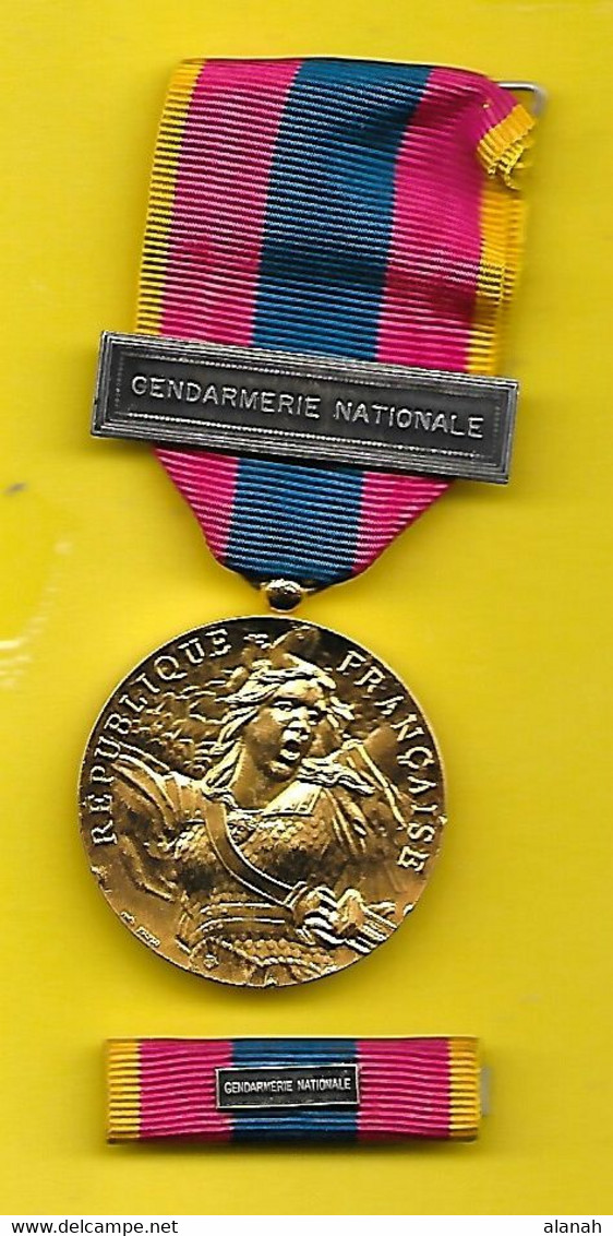 Médaille + Barrette Gendarmerie Nationale Armée Nation Défense Nationale "Or" - Francia