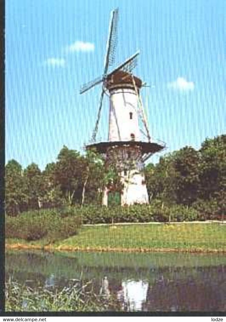 Nederland Holland Pays Bas Tholen Korenmolen - Tholen