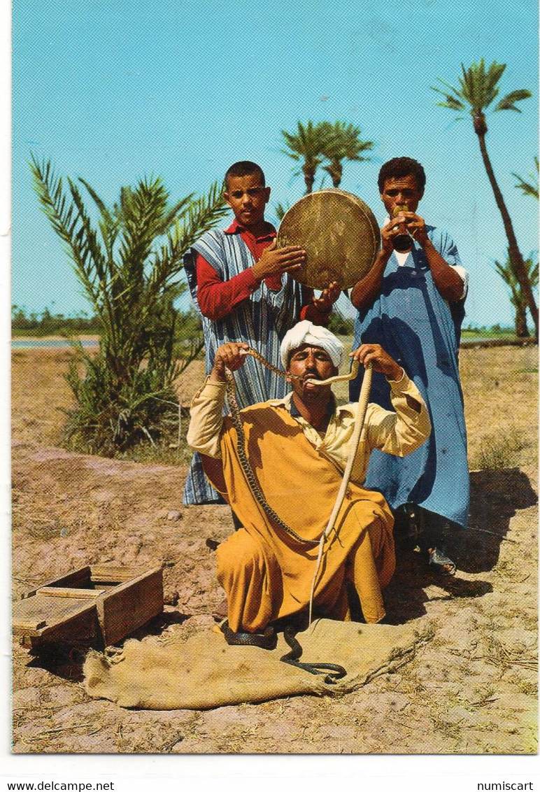 Marrakech Animée Charmeur De Serpents Musiciens - Marrakech