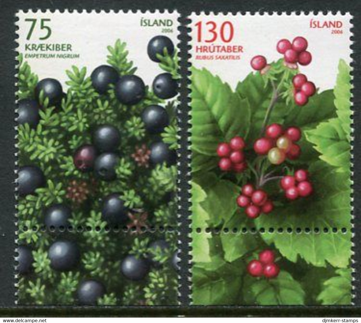 ICELAND  2006 Wild Berries MNH / **.  Michel 1137-38 - Ungebraucht