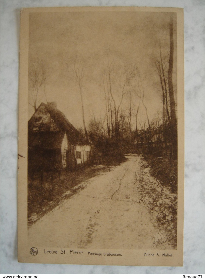 Leeuw St Pierre - Paysage Brabançon - Sint-Pieters-Leeuw