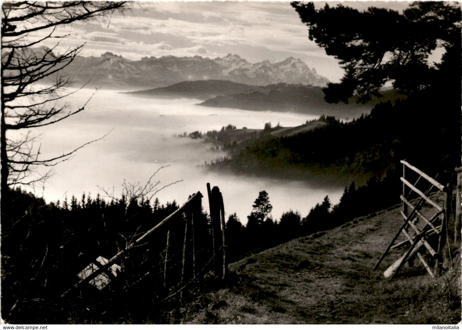 Kurort St. Anton Bei Oberegg - Blick Zum Alpstein Mit Altmann U. Säntis (452) * 24. 6. 1960 - Oberegg