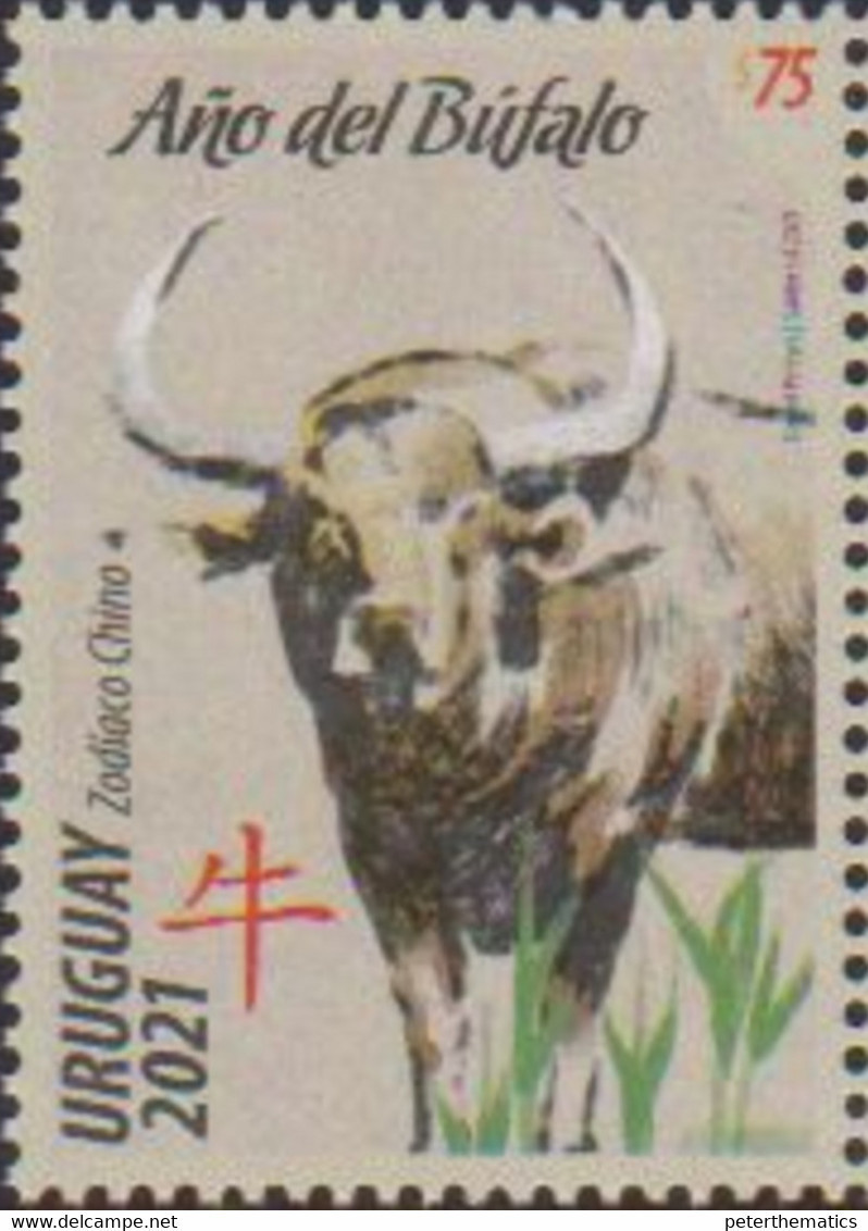 URUGUAY, 2021, MNH,CHINESE NEW YEAR, YEAR OF THE OX,1v - Año Nuevo Chino