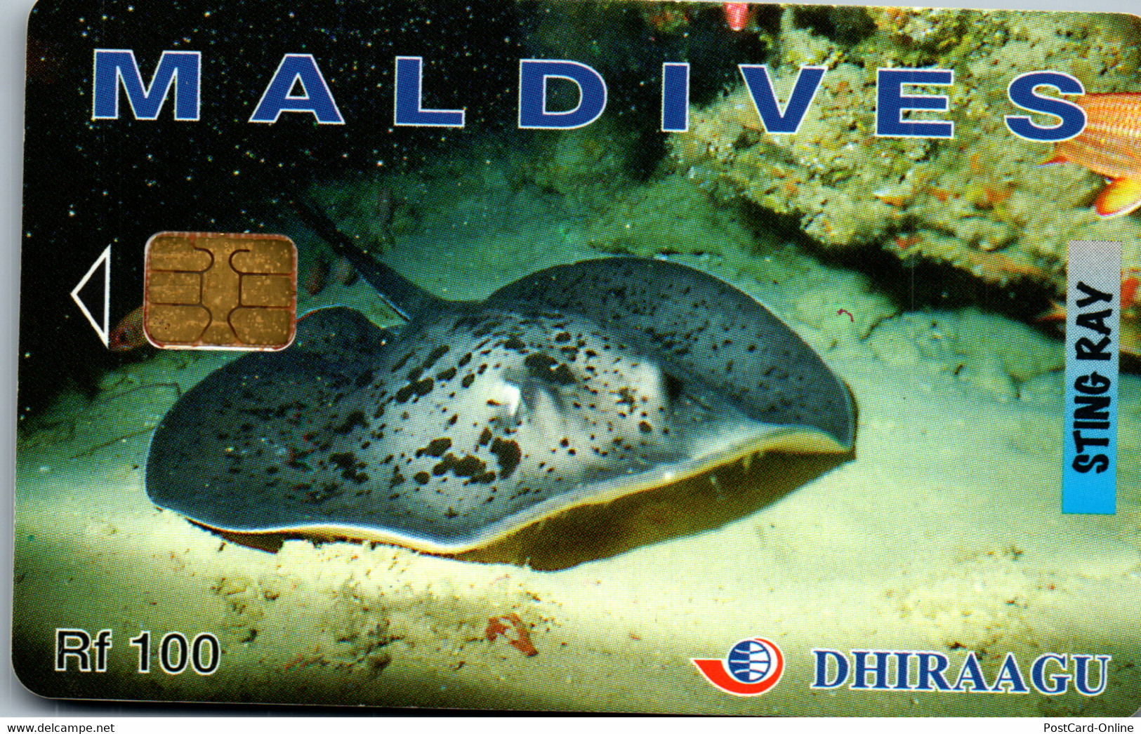 31065 - Malediven - Dhiraagu , Sting Ray , Stachelrochen - Maldives