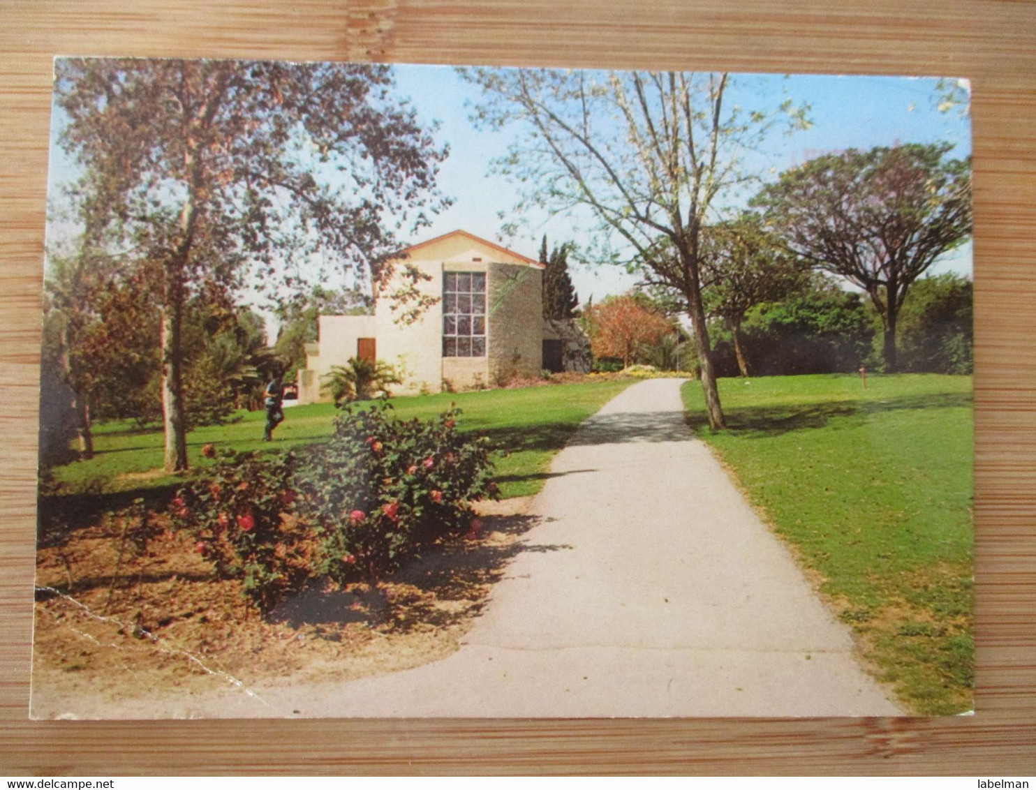 ISRAEL SHANA TOVA NEW YEAR KIBBUTZ SAAD JUDAICA CARTE POSTALE POSTCARD CARTOLINA ANSICHTSKARTE - New Year