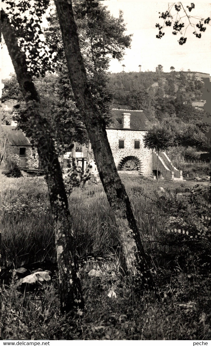 N°90829 -cpsm St Léonard Des Bois -le Moulin Du Val- - Moulins à Eau