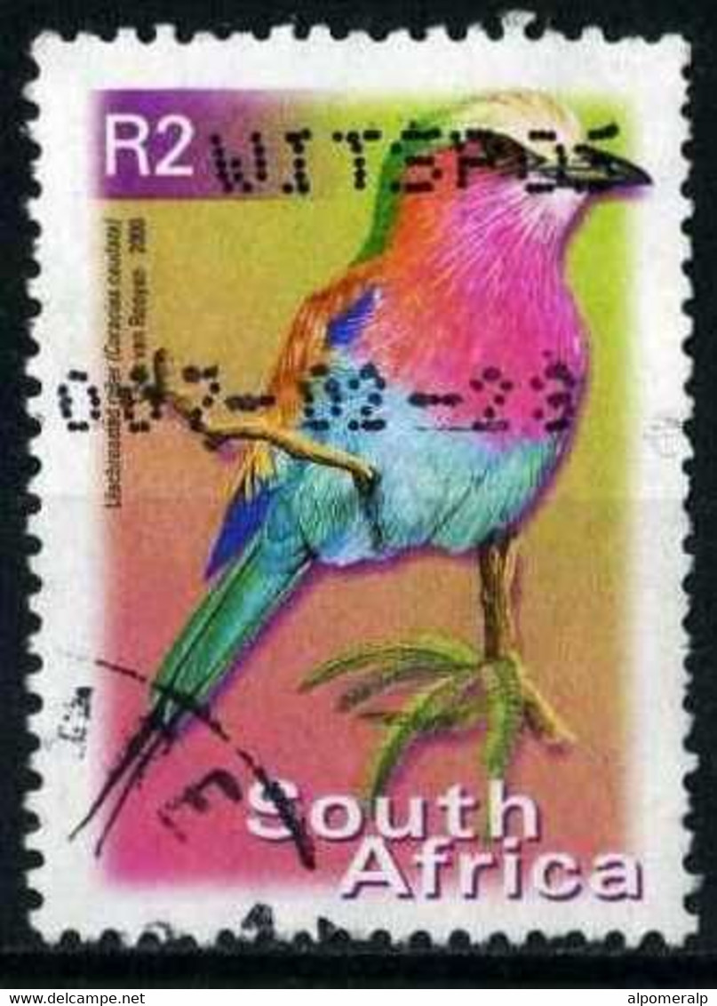 South Africa 2000 Mi 1304C [perf. 13] Bird, Lilacbrested Roller - Used Stamps