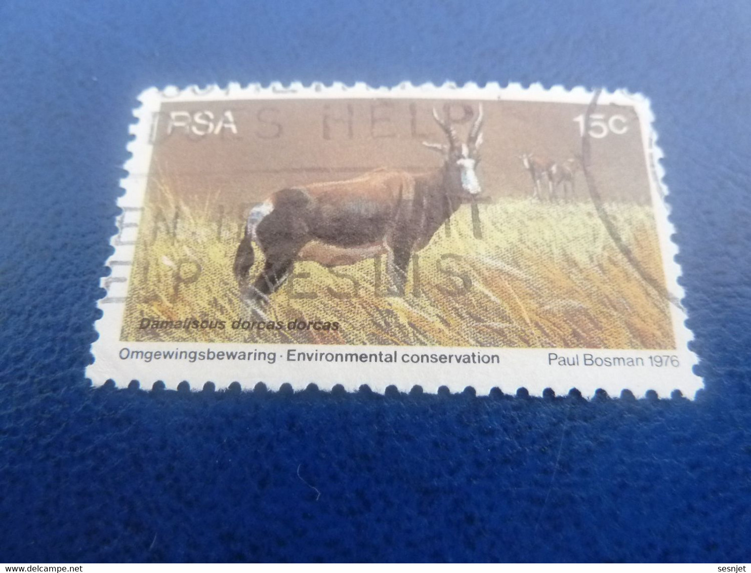 Rsa - Environmental Conservation - Paul Bosman - 15 C. - Multicolore - Oblitéré - Année 1976 - - Used Stamps