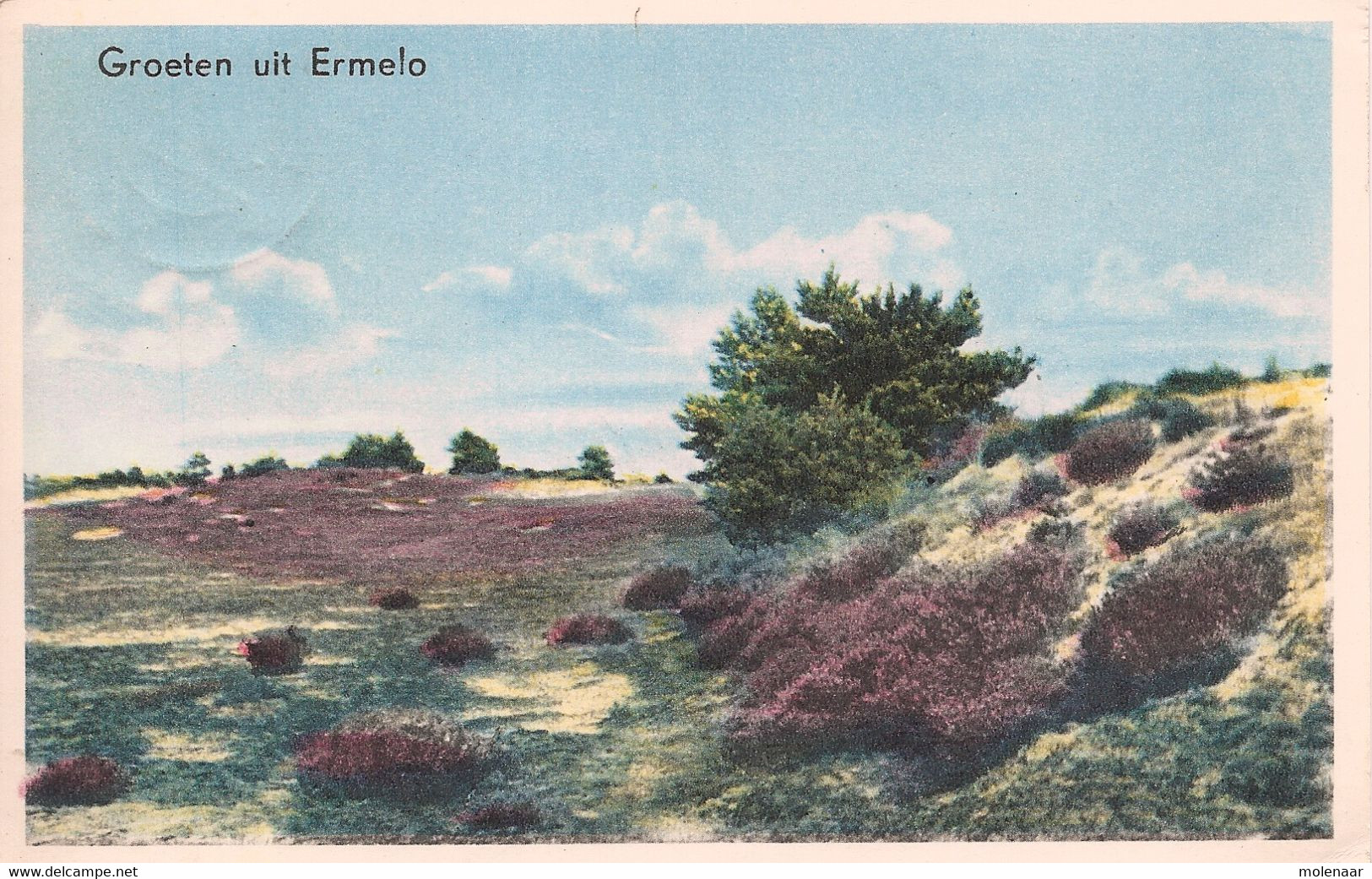 Nederland Postkaart Groeten Uit Ermelo Gebruikt (5201) - Ermelo