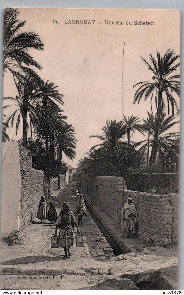 LAGHOUAT / UNE RUE DU SCHETETT - Laghouat