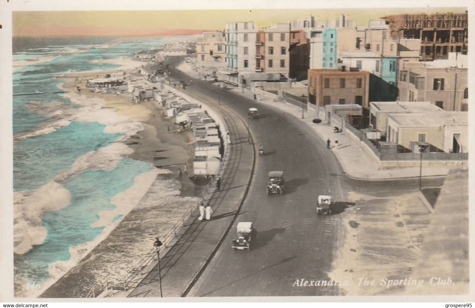 ALEXANDRIE THE SPORTING CLUB COULEUR - Alexandria