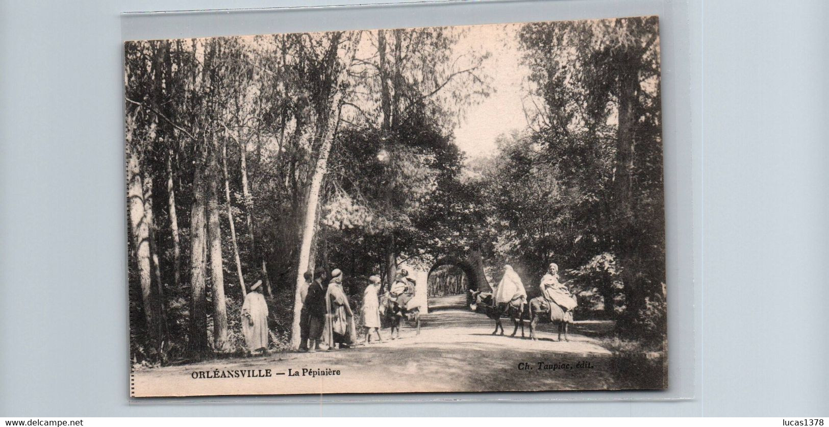 ORLEANSVILLE / LA  PEPINIERE - Chlef (Orléansville)