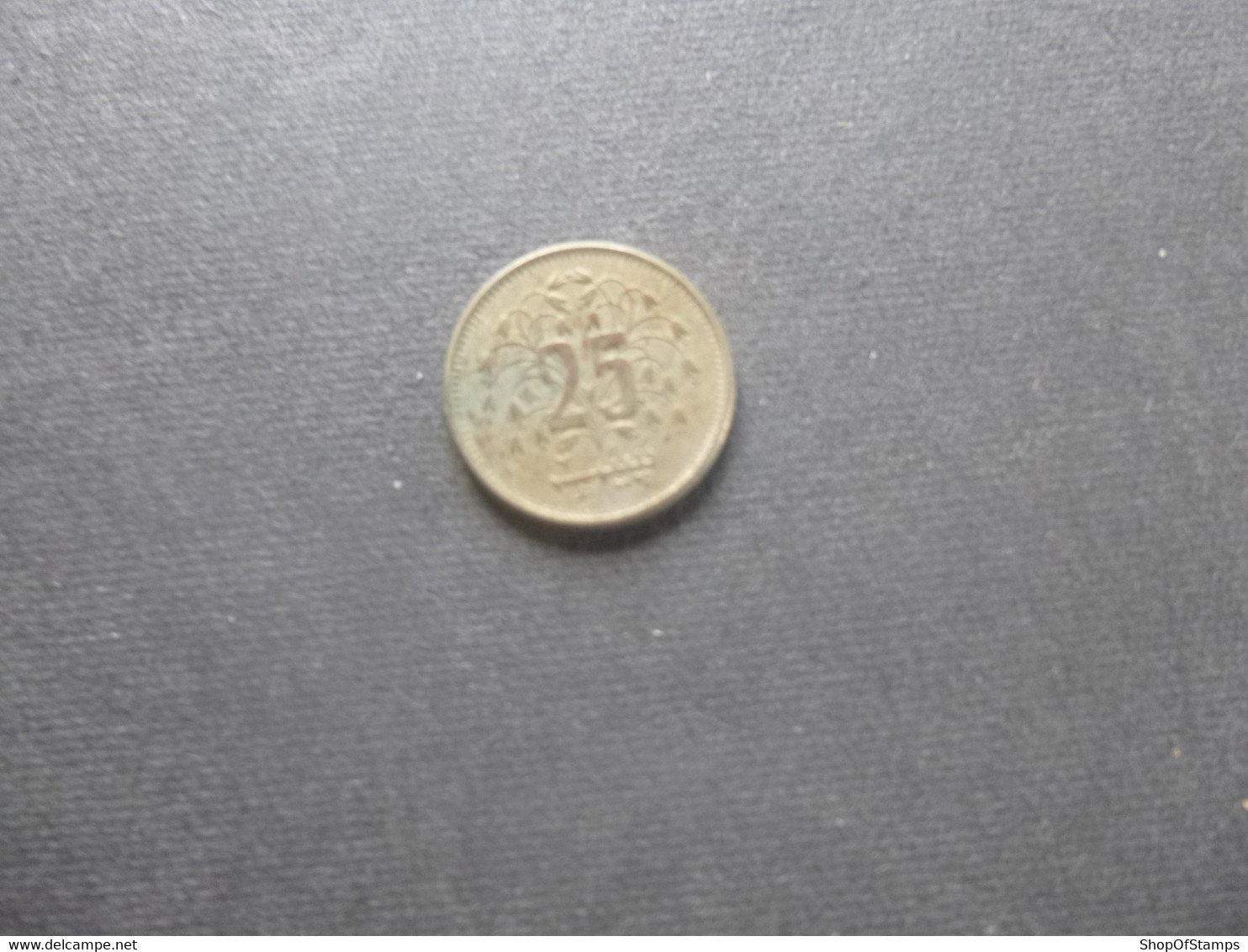 Pakistan Coin Year  1976 25 Paisa As Per Scan - Pakistan