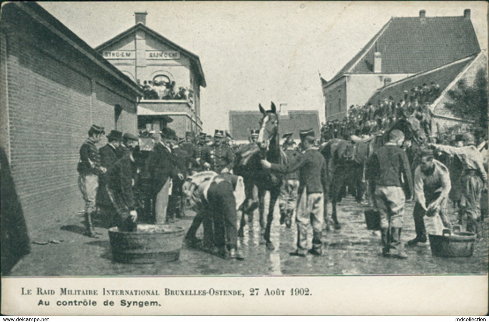 BE ZINGEM / Syngem - La Raid Militaire Internationnal / CARTE ANIMEE - Zingem