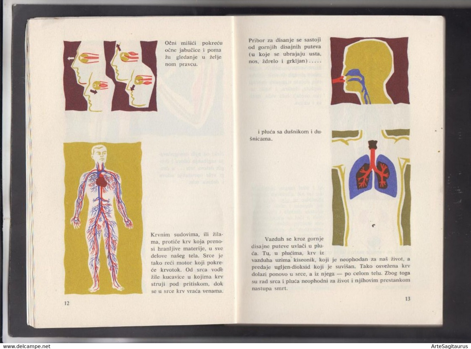 YUGOSLAVIA, FIRST AID, MILITARIA + - Practical