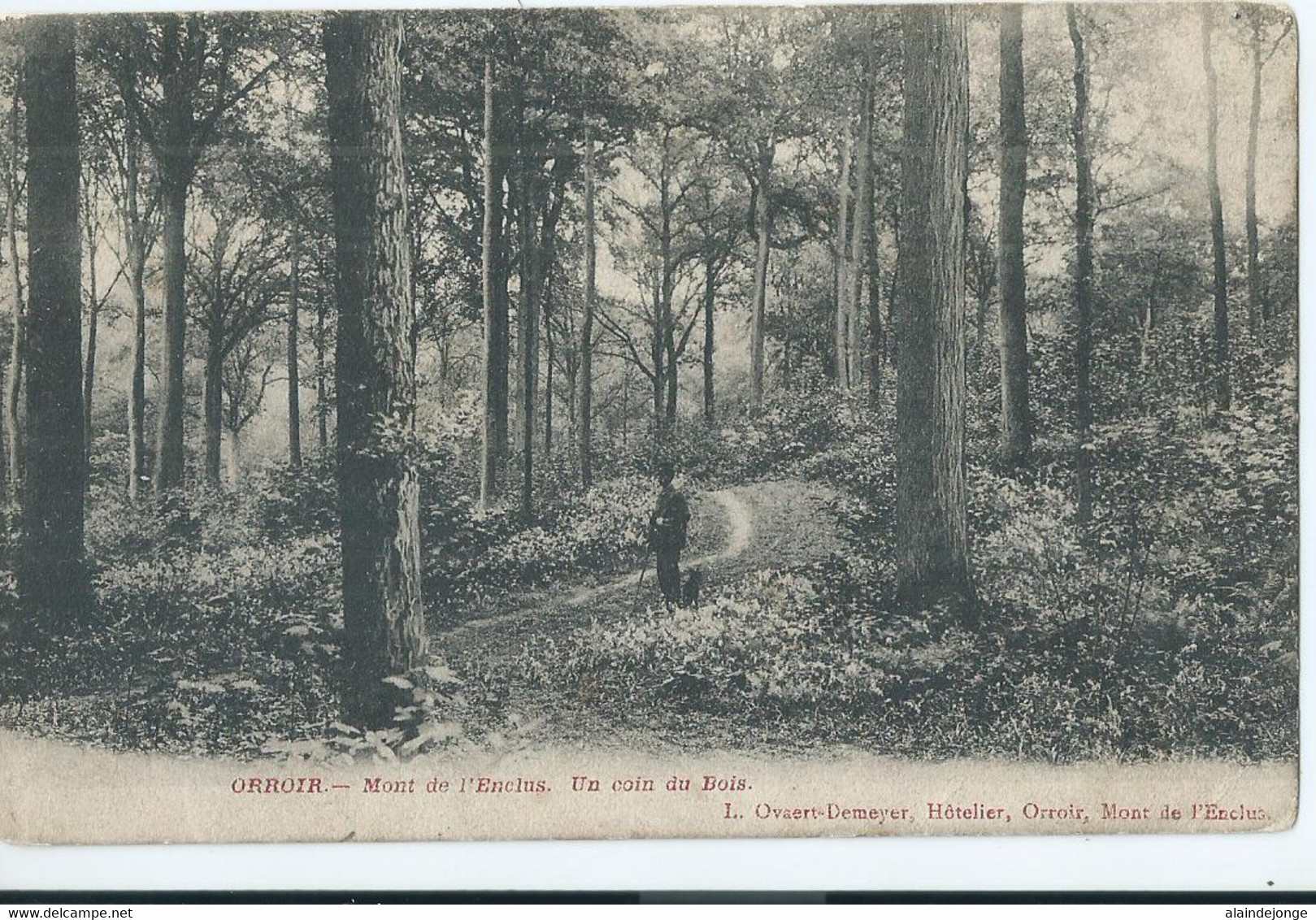 Orroir - Mont De L'Enclus - Un Coin Au Bois - 1909 - Kluisbergen