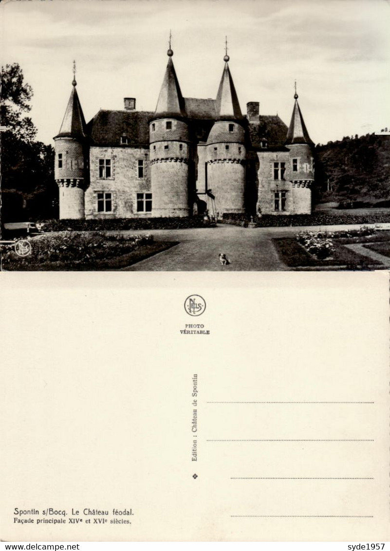 Spontin-s/Bocq - Château Féodal - Façade Principale - Yvoir