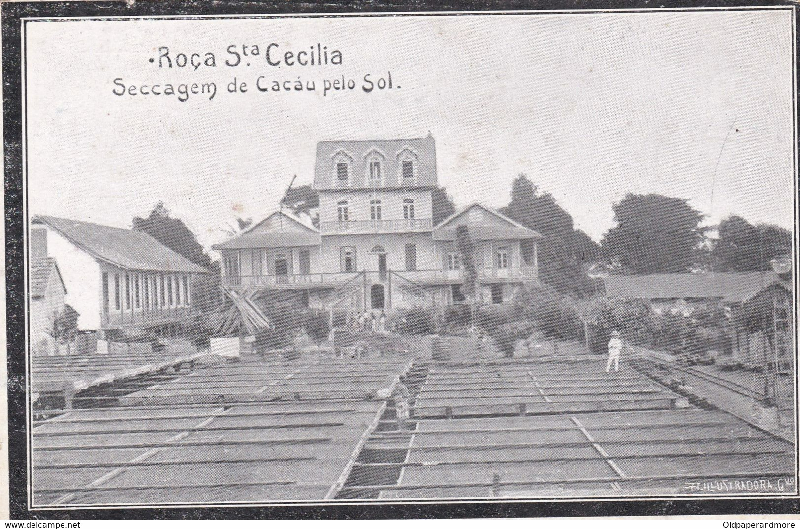 POSTCARD PORTUGAL - AFRICA - SÃO TOME AND PRINCIPE - OLD PORTUGUESE COLONY - ROÇA St. CECILIA - SECAGEM DE CACAU - Sao Tome Et Principe