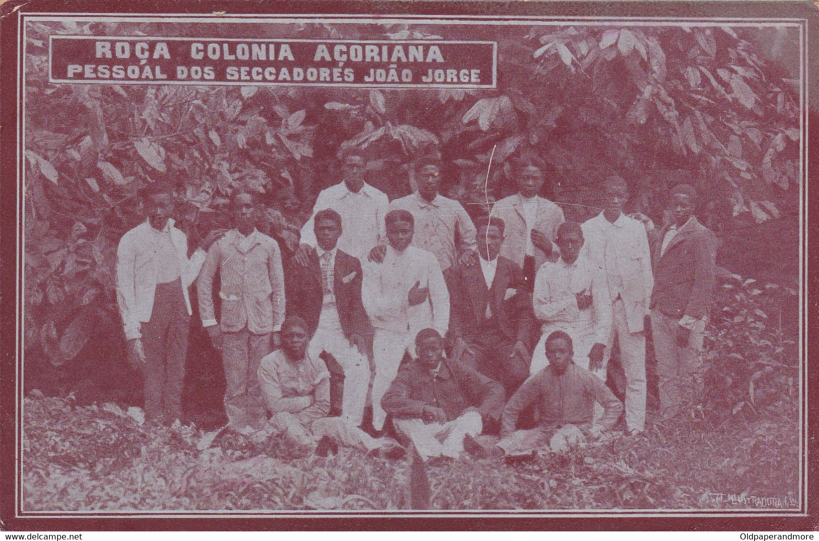 POSTCARD PORTUGAL - AFRICA - SÃO TOME AND PRINCIPE - OLD PORTUGUESE COLONY - ROÇA AÇORIANA -  CACAU - Sao Tome Et Principe