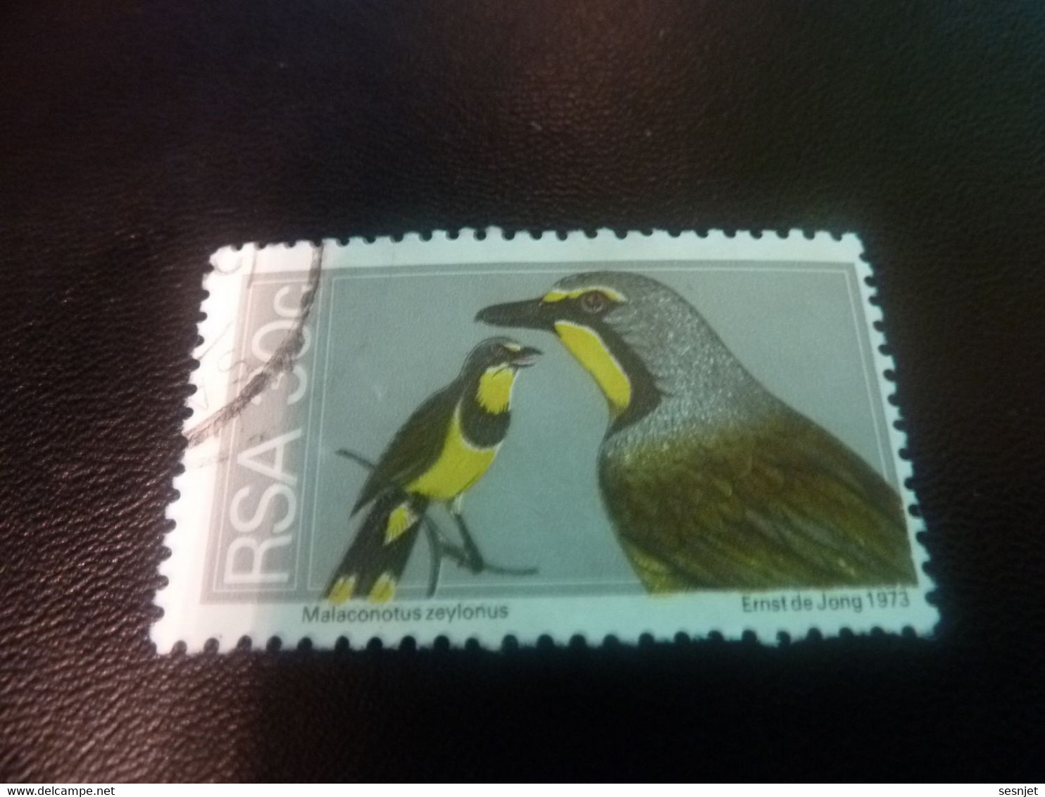 Rsa - Malaconotus Zeylonus - 30 C. - Multicolore - Oblitéré - Année 1973 - - Used Stamps