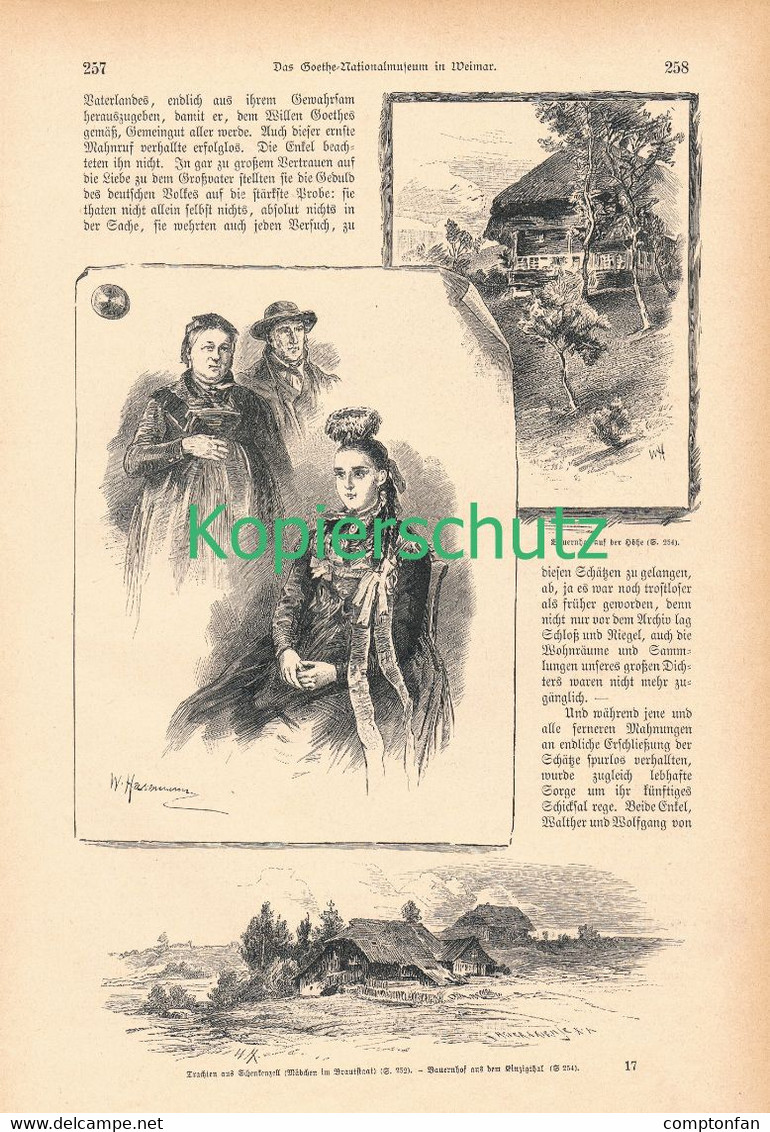 A102 025 Kinzigtal Wolfach Schwarzwald Flößerei Artikel Mit 10 Bildern Von 1887 !! - Libros Antiguos Y De Colección