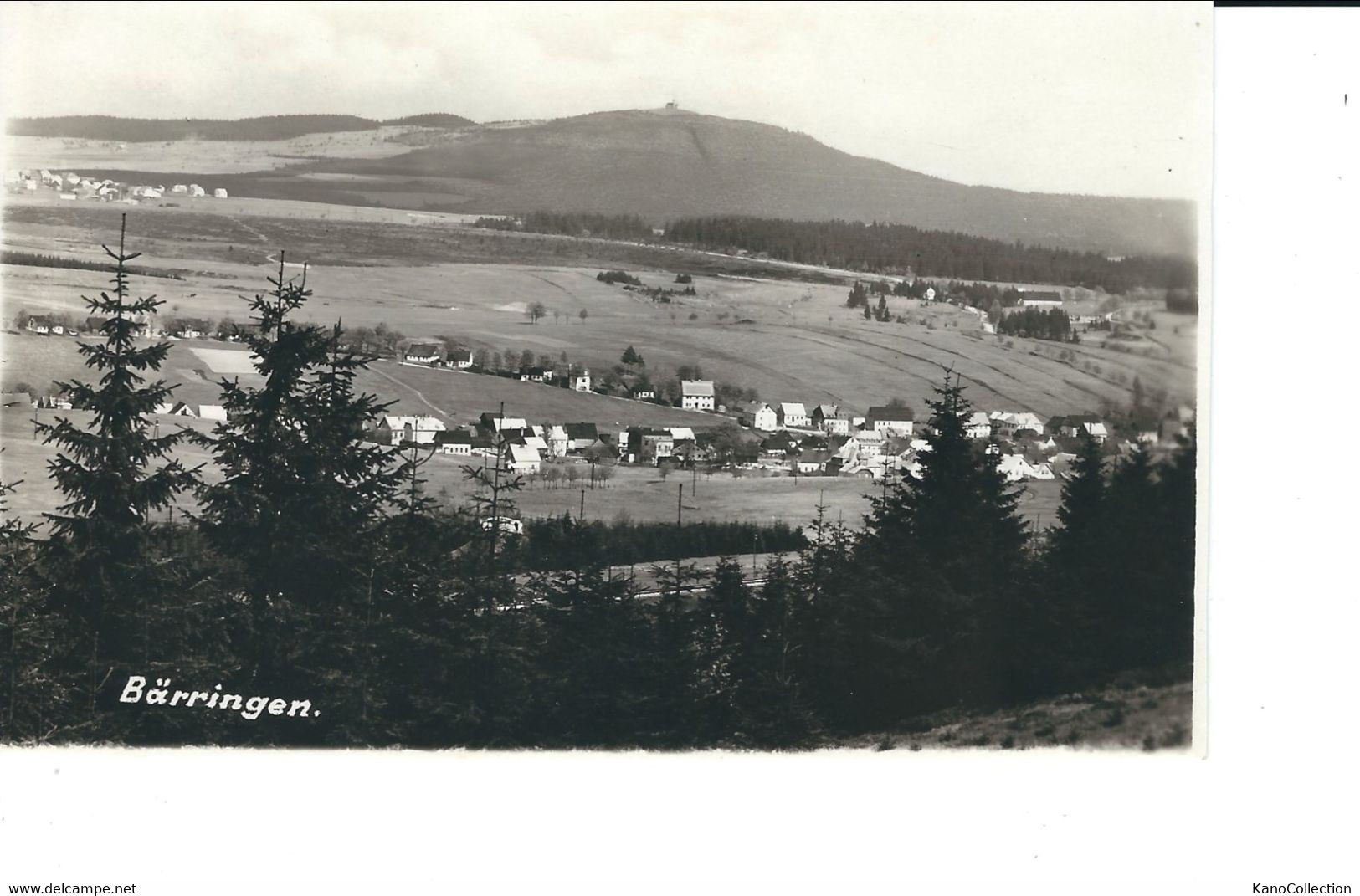 Bärringen, Pernink, Foto-AK, Nicht Gelaufen - República Checa