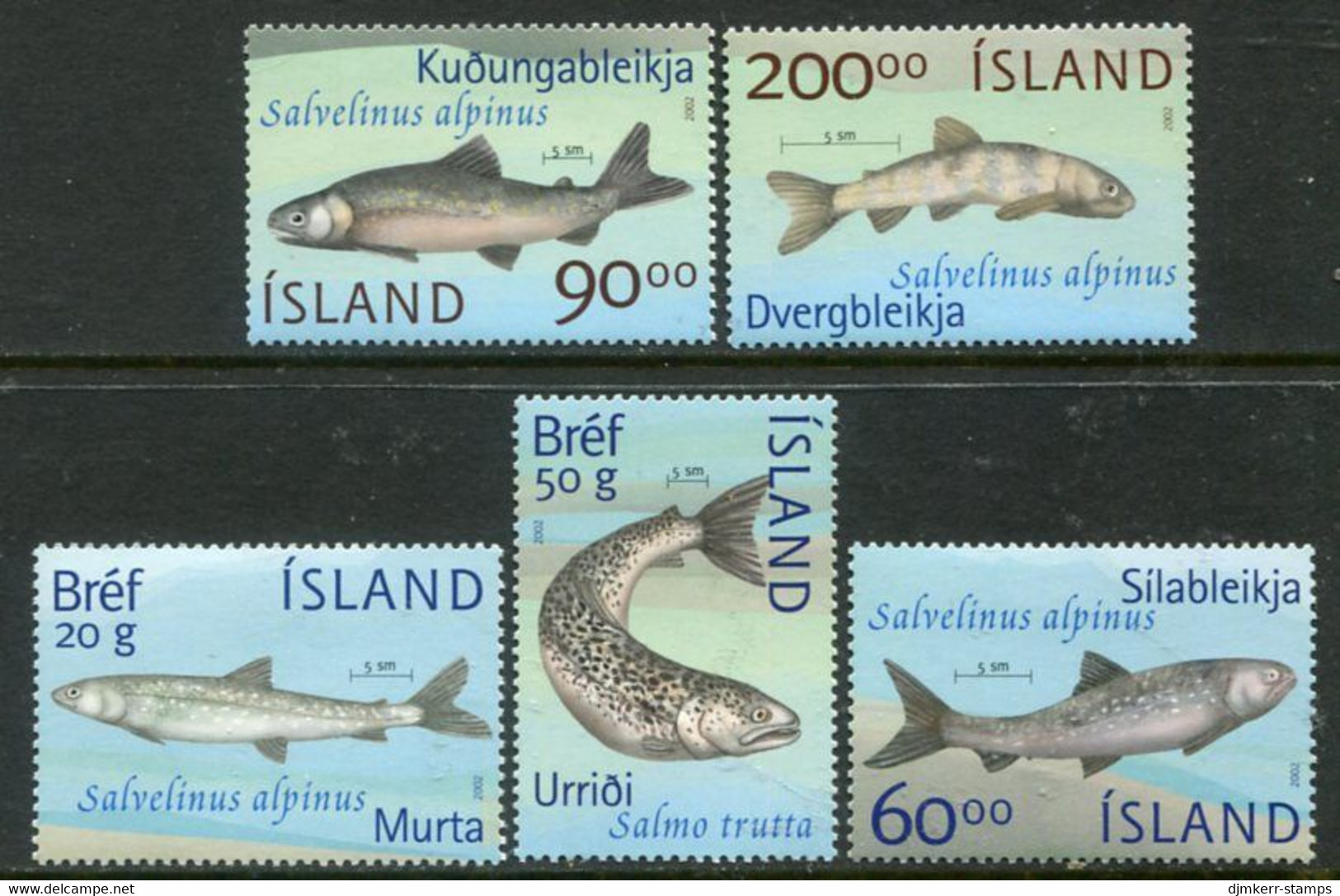 ICELAND  2002 Fishes Of Lake Thingvellir MNH / **.  Michel 1012-16 - Unused Stamps