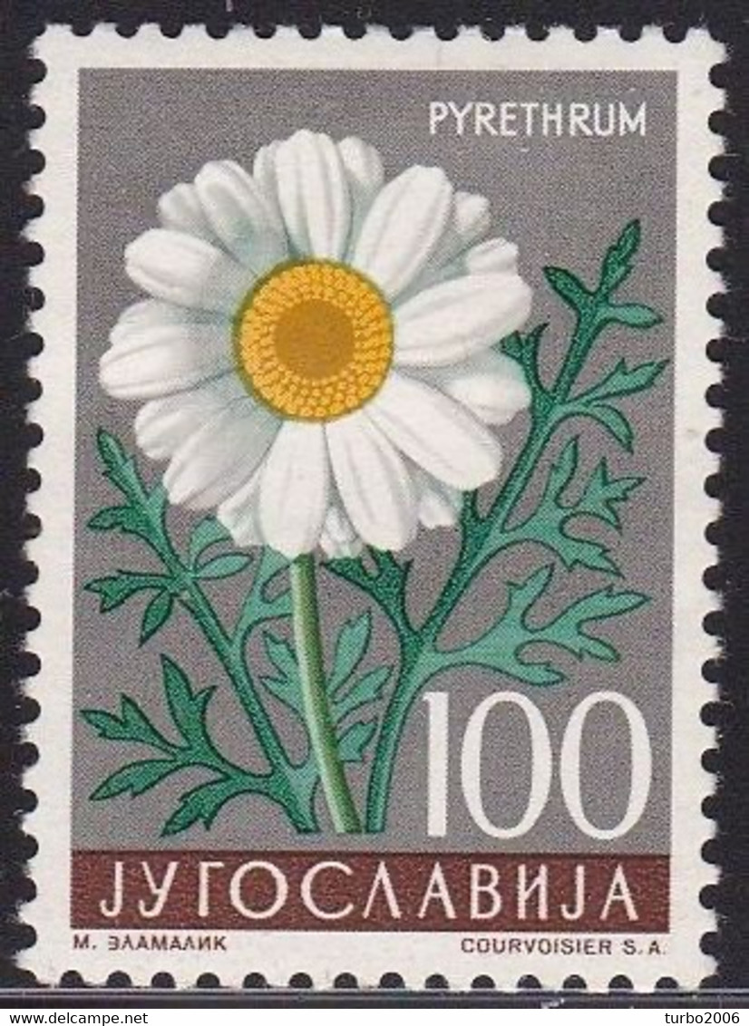 Joegoslavia 1957 Flora : Chrysantenum Cinerariifolium 100 Din Michel 820 MH - Nuovi