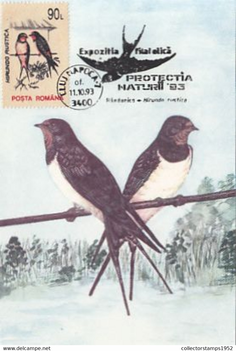 W1715- BARN SWALLOW, BIRDS, ANIMALS, MAXIMUM CARD, 1993, ROMANIA - Golondrinas