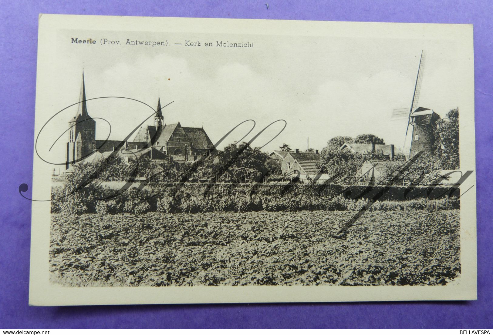 Meerle Zicht Op Dorp En Windmolen Moulin - Hoogstraten