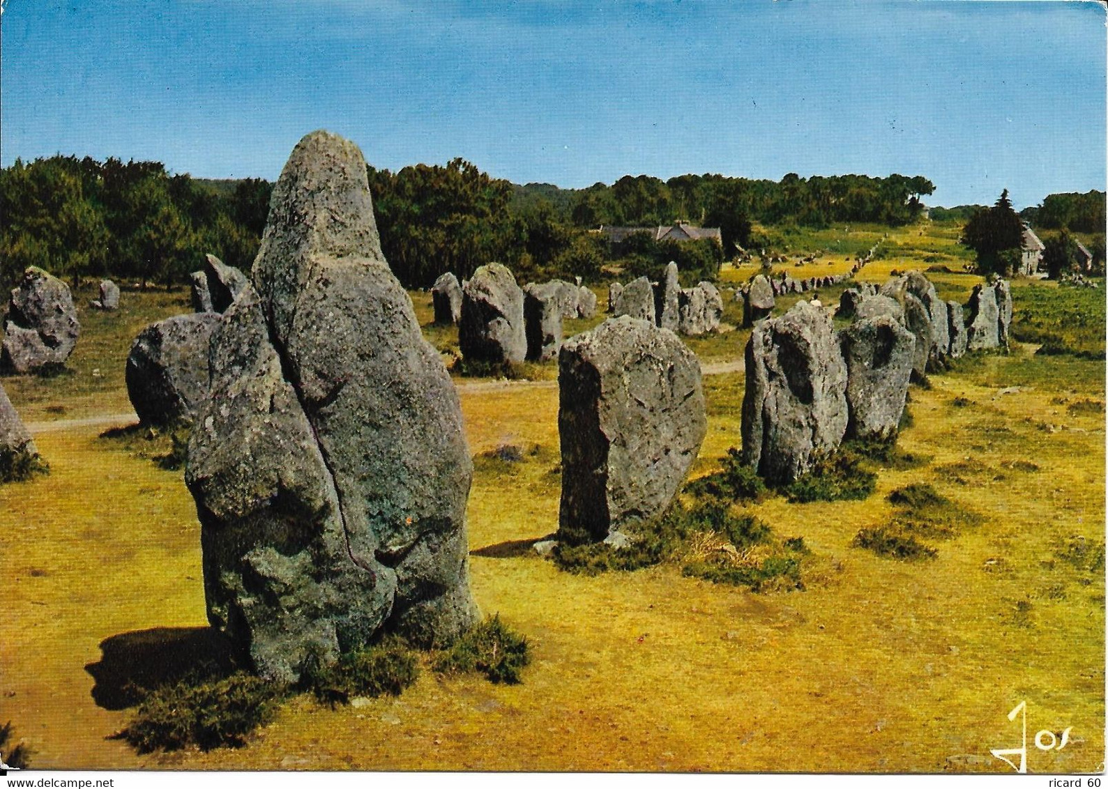 Cp Neuve, Alignements De Kermario à Carnac - Dolmen & Menhirs