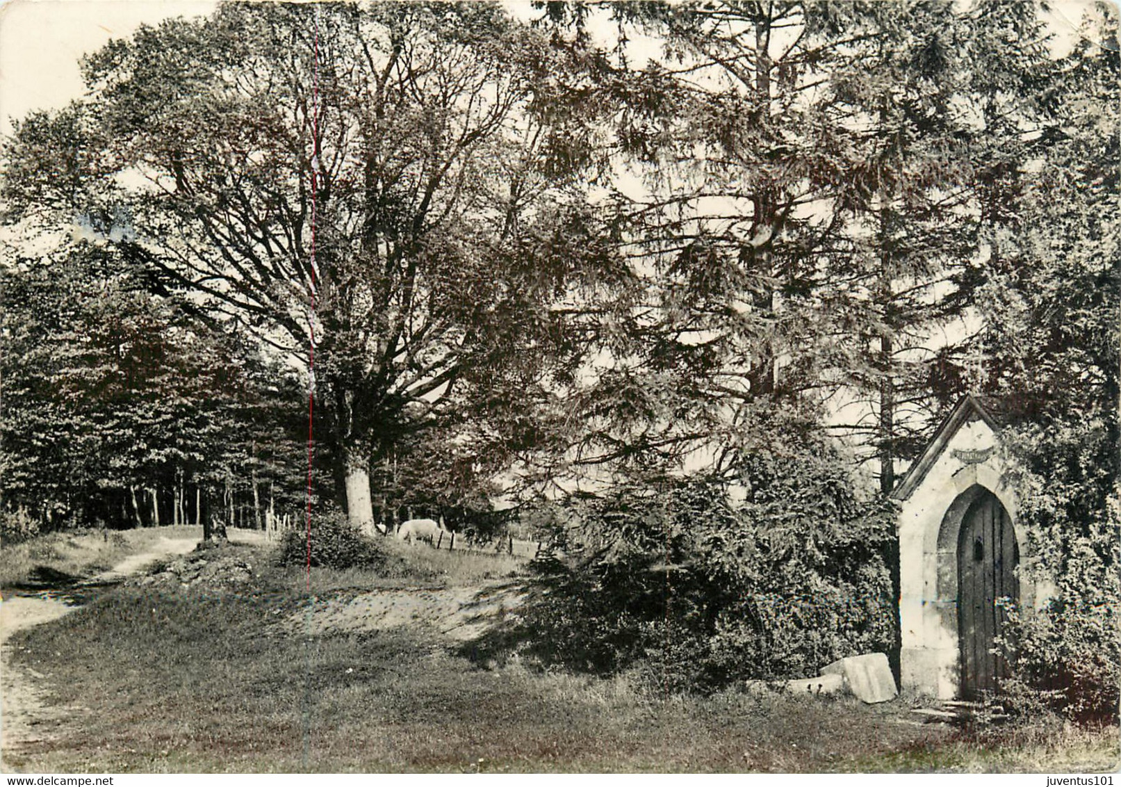 CPSM Aye-La Chapelle De St Donat Et Les Trois Tilleuls-Timbre       L1337 - Marche-en-Famenne