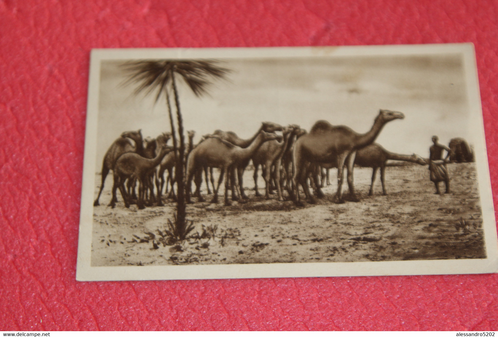Africa AOI Eritrea Adua Scene Del Deserto 1935 + Nice Stamps - Erythrée