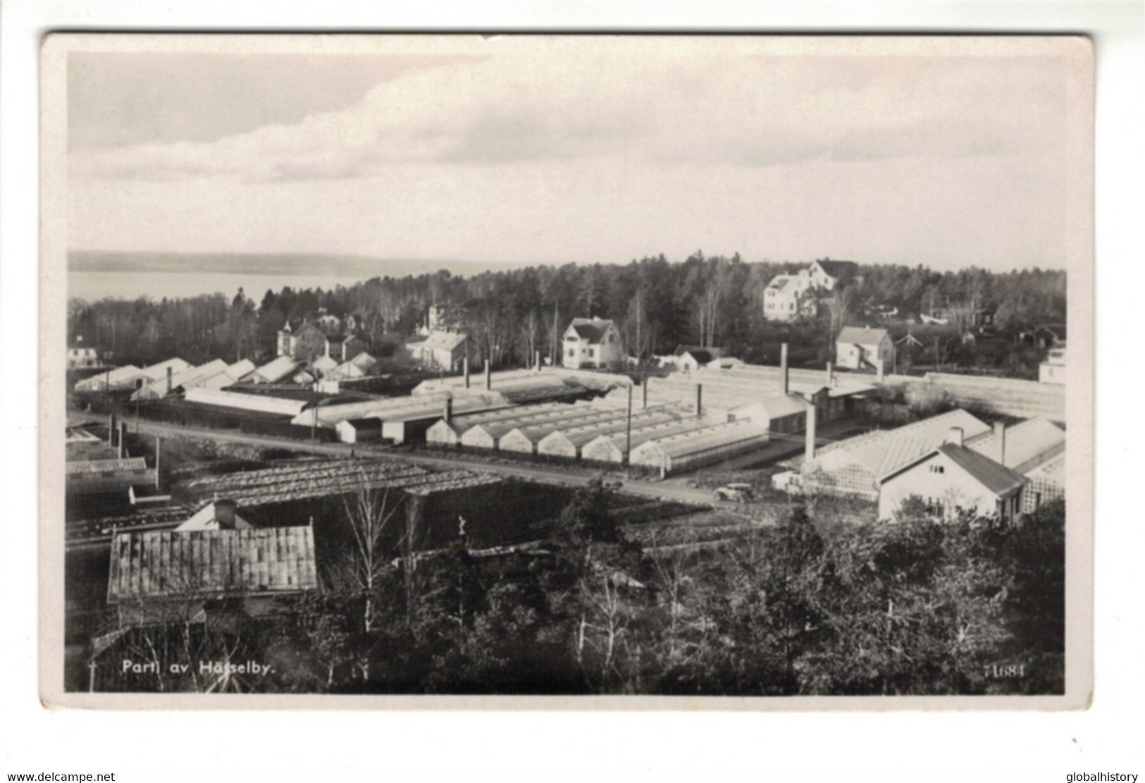 DG2592 - SWEDEN - PARTI Av HÄSSELBY - GREENHOUSES, WAREHOUSES - Zweden