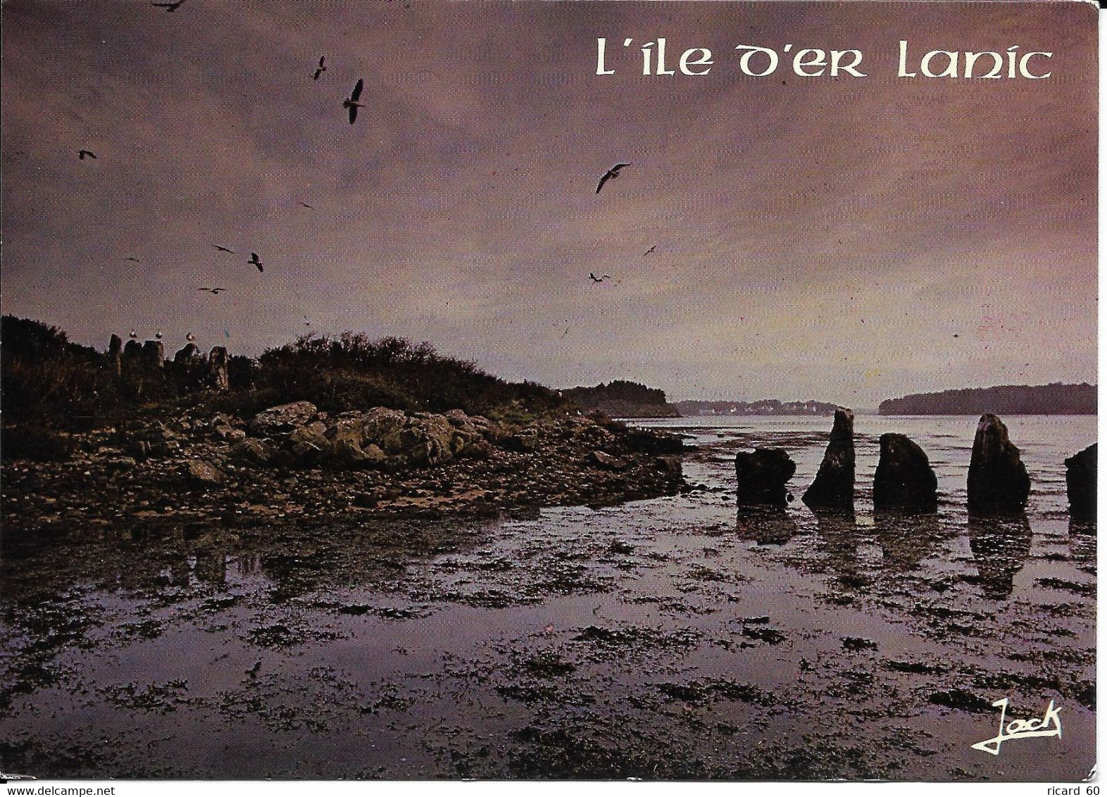 Cp Neuve, Double Cromlec'h De L'île D'Er Lanic, Golfe Du Morbihan, Menhirs - Dolmen & Menhirs