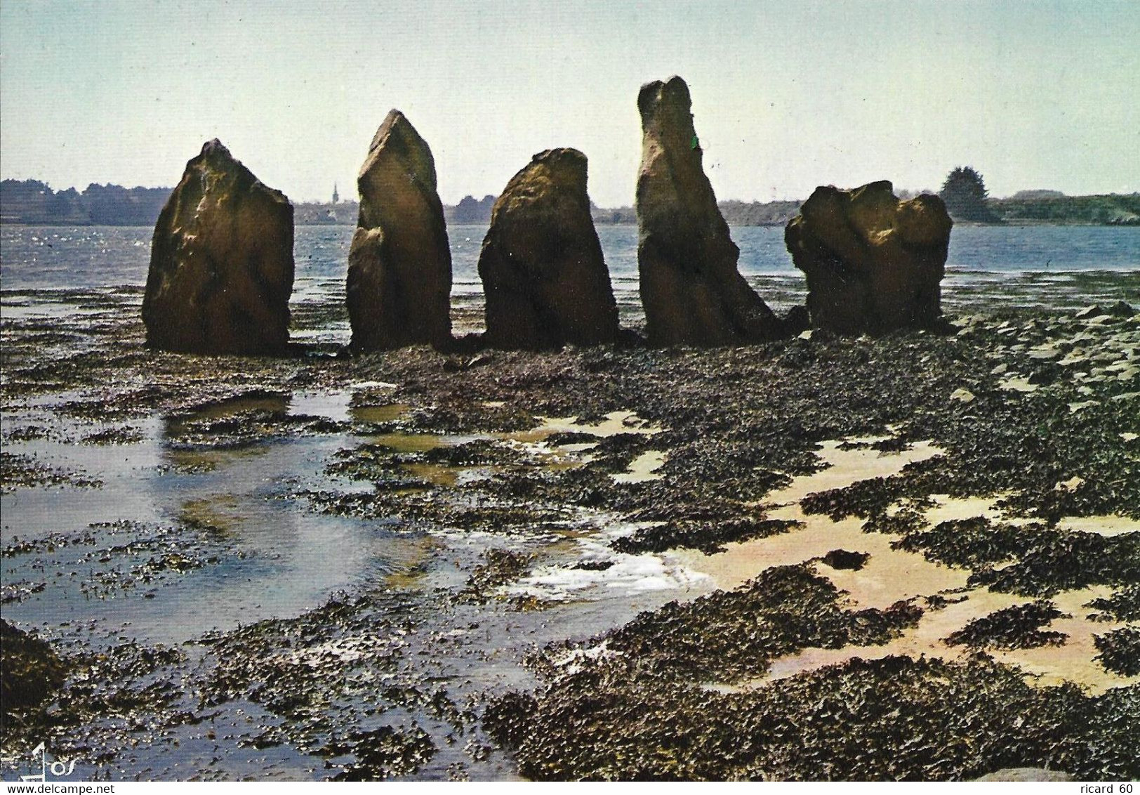 Cp Neuve, Double Cromlec'h De L'île D'Er Lanic, Golfe Du Morbihan, Menhirs - Dolmen & Menhirs