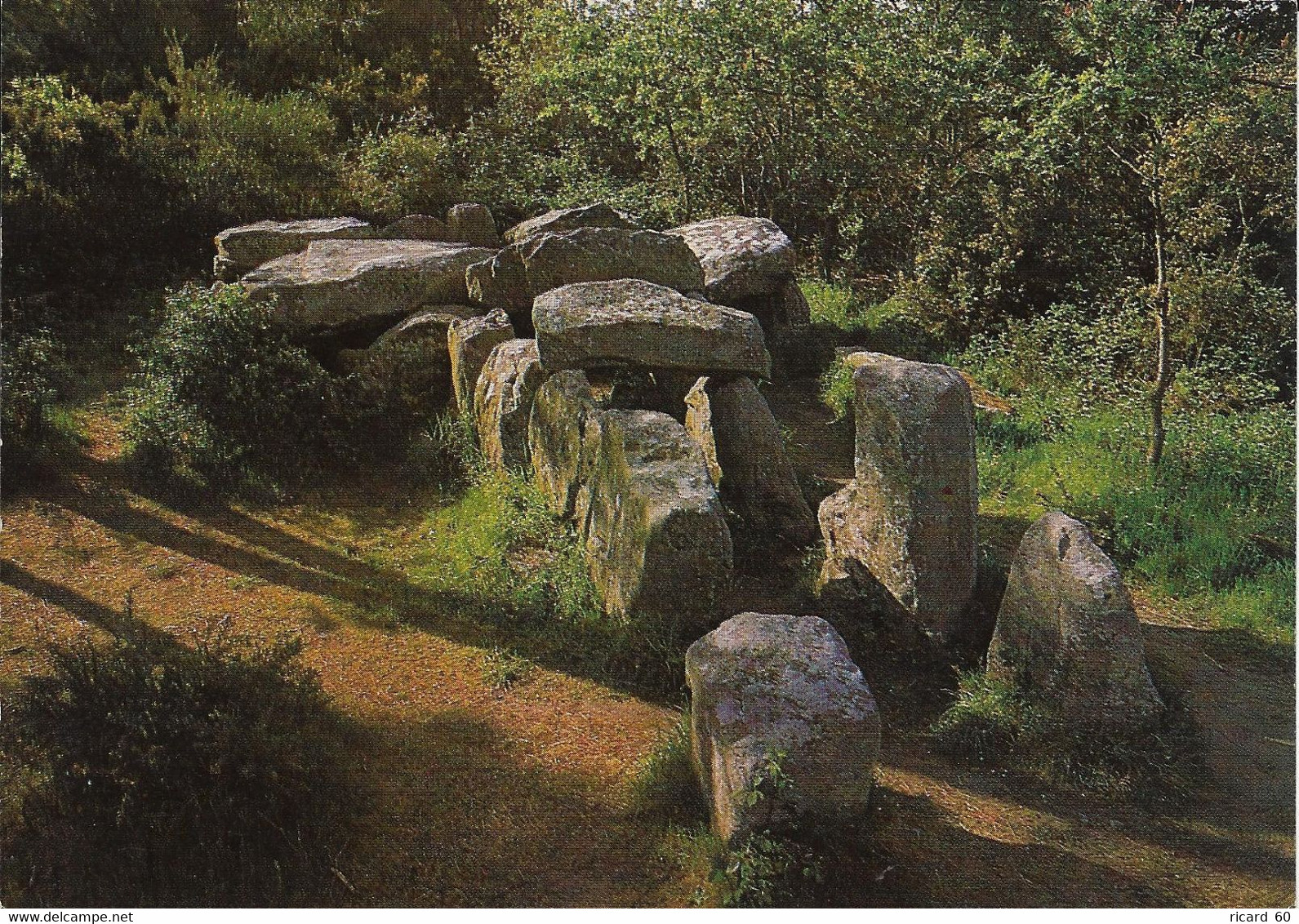 Cp Neuve, Dolmen DuMané-Groh, Erdeven, Bretagne, Allée Couverte, Mégalithe - Dolmen & Menhirs