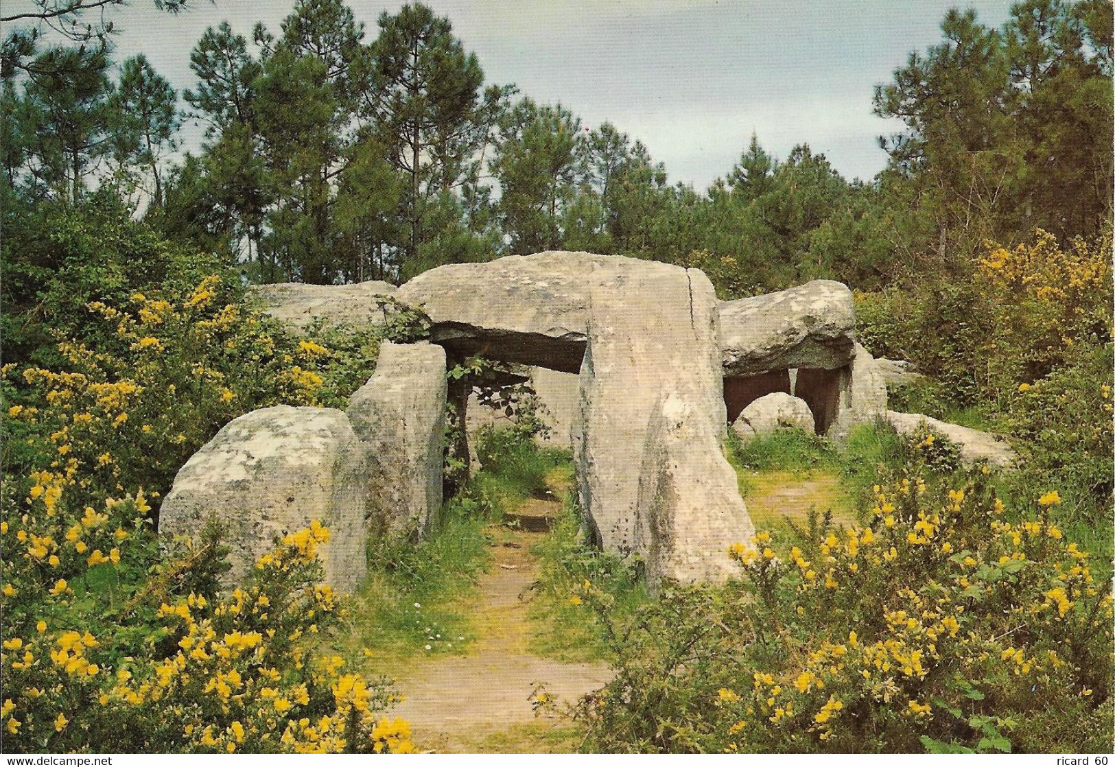 Cp  Dolmen De Crucuno, Bretagne,  Mégalithe - Dolmen & Menhirs