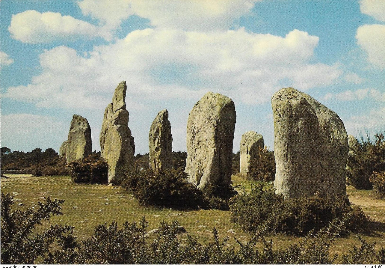 Cp Alignements De Kermario, Carnac, Bretagne,  Mégalithe - Dolmen & Menhirs