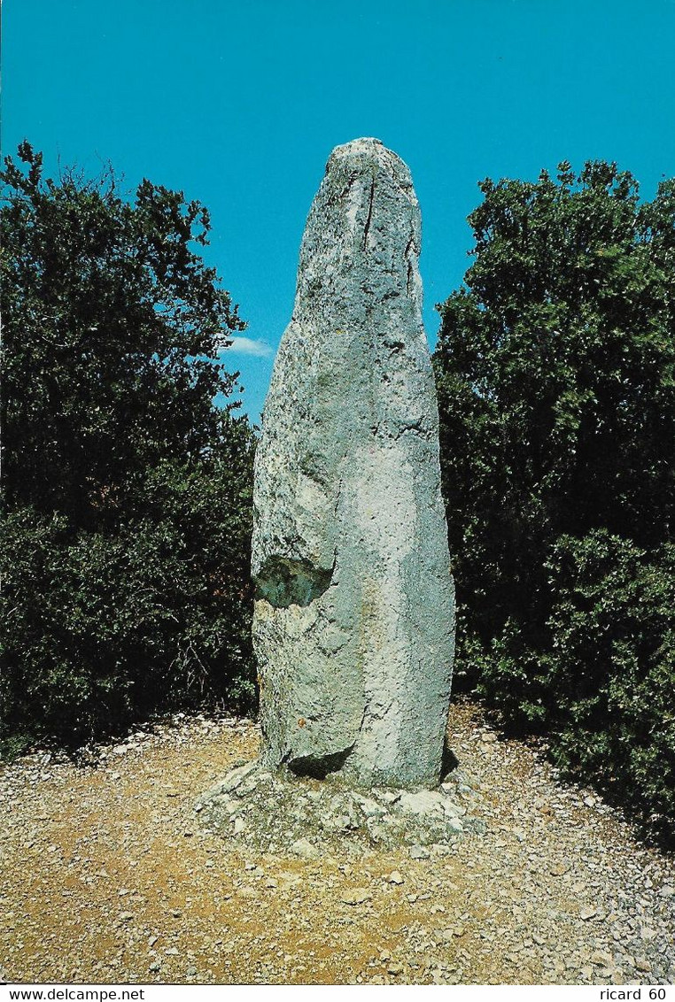 Cp Neuve, Menhir Des Environs De Bidon En Ardèche,  Mégalithe - Dolmen & Menhirs