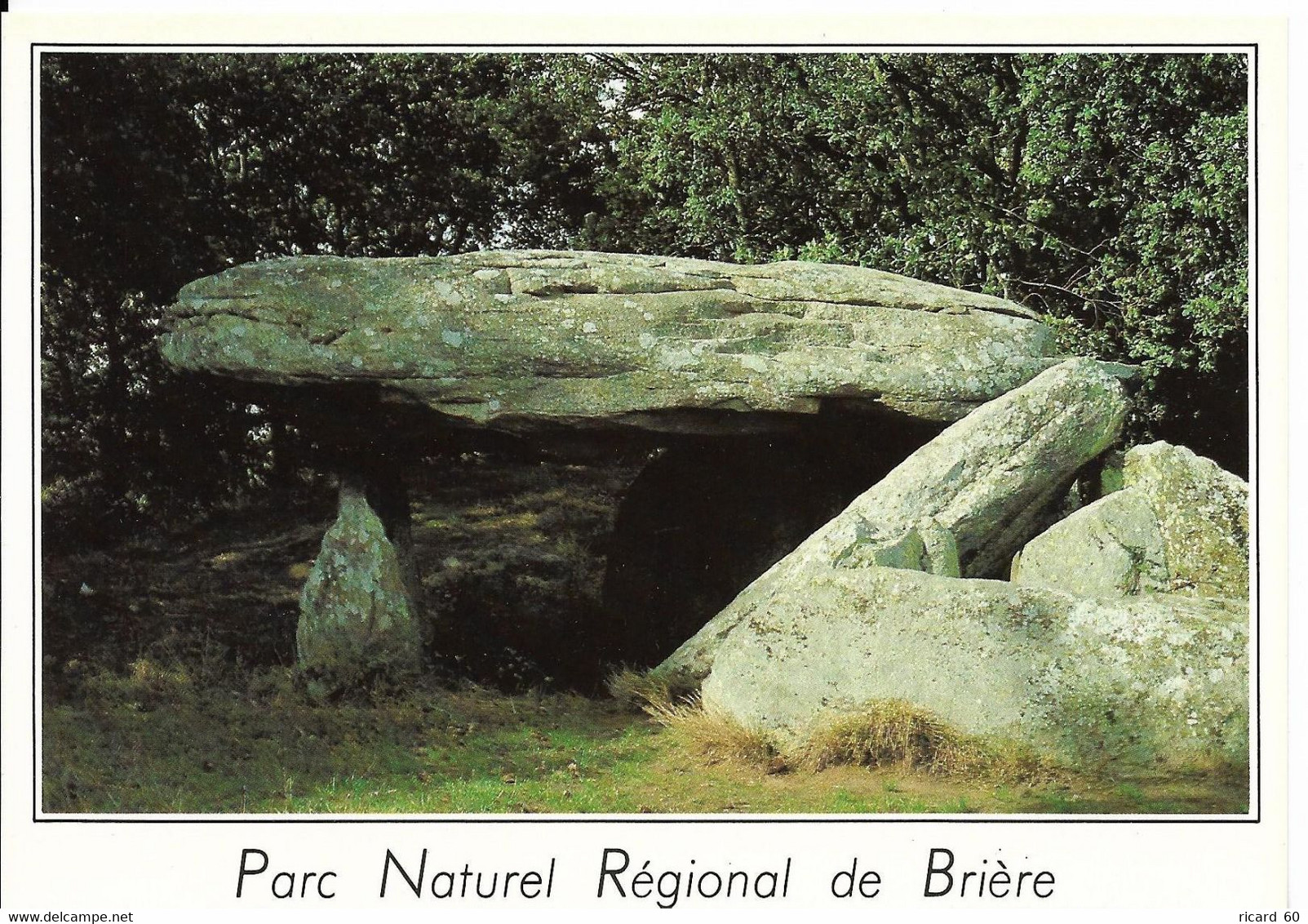 Cp Neuve, Dolmen De La Barbière, Crossac, Parc Régional De Brière,  Mégalithe - Dolmen & Menhirs